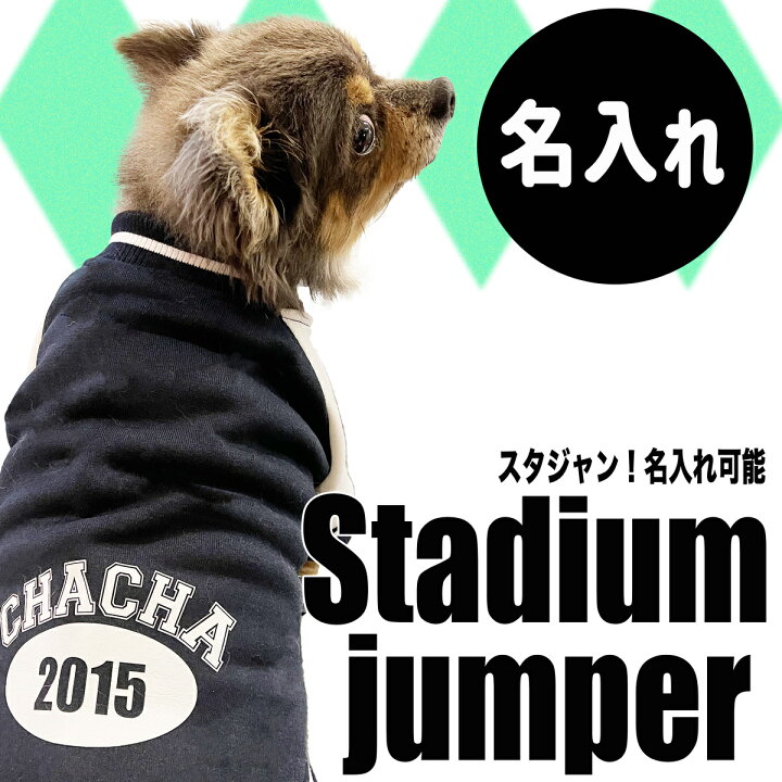 楽天市場】犬服【G-snap】スタジャン ブルー 青 BLUE 新作 名入れ 犬 