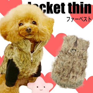 yG-snap zAE^[ t@[ xXg U o v[g Mtg j  ^ p uEhbOEGA ~ Wo[   Cxg lC CX^ f 2023 