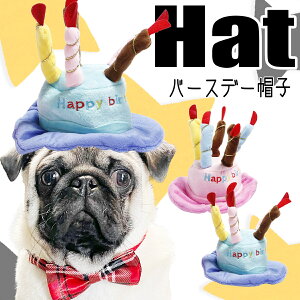 yG-snapza o[Xf[ p ybgEFA Be IV 킢 ̕  2023 gCv[h ` _bNX tu pO CX^ f  Cxg h CpNg Xq