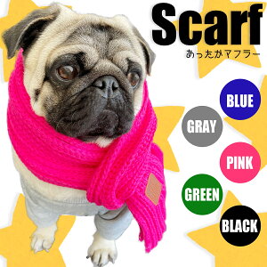 yG-snapz}t[ ANZT[ p ybgEFA Be IV 킢 ̕  2023 ybg  gCv[h ` _bNX tu pO CX^ f  Cxg h