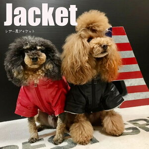 yG-snapzWp[ U[ AE^[ bh ubN  ^ p h EFA hbOEGA ̕ M L XL XXL  ł U Cxg H ~ lC CX^ f 2023 