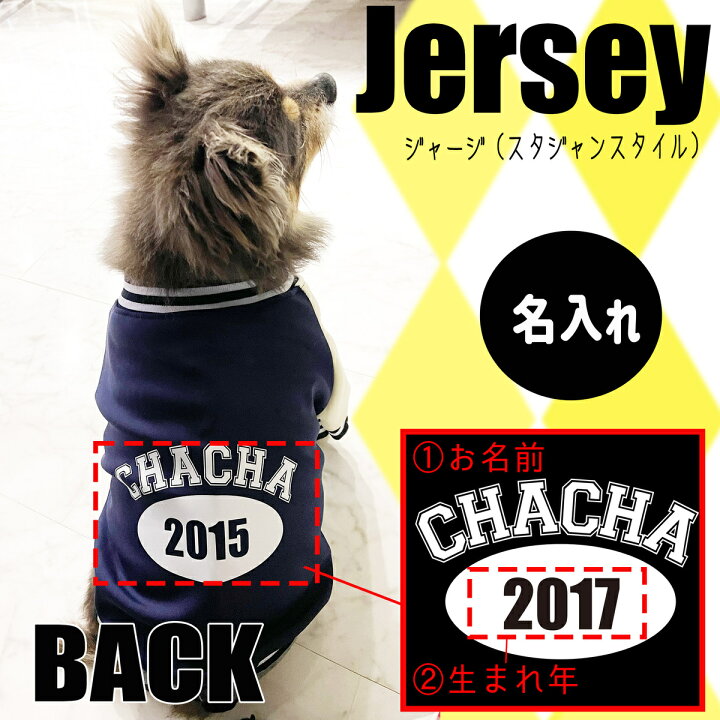 楽天市場】【G-snap】ジャージ Blue ブルー スタジャン 名入れ 犬 小型 