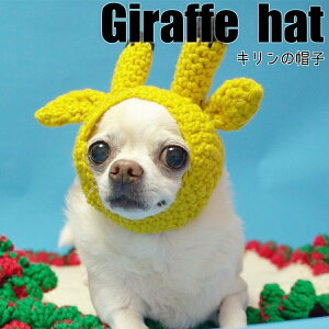 yG-snapzL Xq p ybgEFA Be IV 킢 ̕ 2023 ybg  gCv[h ` _bNX tu pO CX^ f  Cxg h CpNg