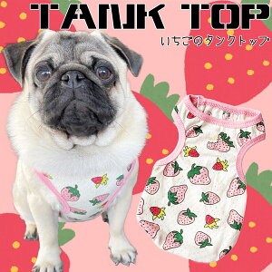 yG-snapz C`S m[X[u ^Ngbv   ^ p  EFA hbOEGA ̕ M L  ł U Cxg t  lC CX^ f ̕ yb