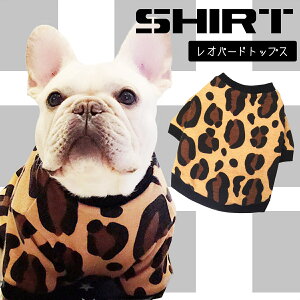 yG-snapzIp[h gbvX  ^ p  EFA hbOEGA ̕ S M L XL  ł U Cxg ^ lC CX^ f 2023 ̕ tu pO RXv B