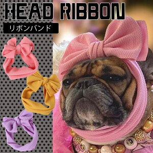 yG-snapzwbh{ { oh  p ybgEFA Be IV Jt ̕  ANZT[ ybg  v[h tu pO CX^ f  Cxg h C