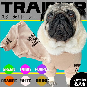 p yG-snapz X^[g[i[  t  ~ hbOEFA g[i[ TCh wʖ Vv JbR IV [} 6F IWi ł U Cxg 