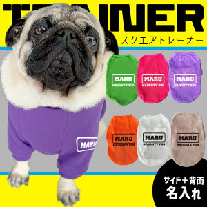 p yG-snapz XNGAg[i[  t  ~ hbOEFA g[i[ TCh wʖ Vv JbR IV [} 6F IWi ł U Cx