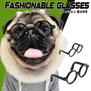 yG-snapzKl p ybgEFA u` Be IV 킢 ̕ 2023 ybg  gCv[h ` _bNX tu pO CX^ f  Cxg h CpN