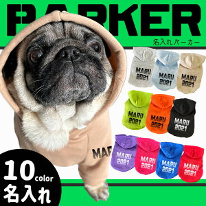 p yG-snapz At@xbgp[J[  t  ~ hbOEFA g[i[ TCh wʖ Vv JbR IV [} 6F IWi ł U C