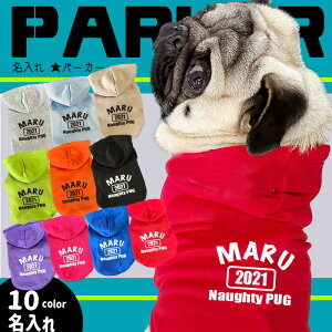 p yG-snapz X^[p[J[  t  ~ hbOEFA g[i[ TCh wʖ Vv JbR IV [} 6F IWi ł U Cxg 