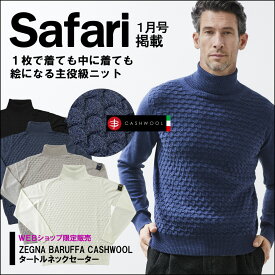 Safari掲載 WEB限定 セーター タートルネック ニット イタリアウール ゼニアバルファ 編み柄切り替え 大きいサイズ 420703 G-stage ジーステージ