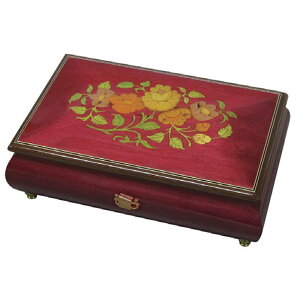 y|Cg10{zC^Aۛƃ{bNX 30كItFEX jfbNCXcc IS[