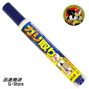 K肭 ړ_ GTR-P10 y^Cv