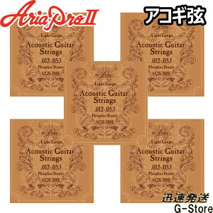 Aria ARM AGS-200L×5Zbg tHXt@[uY Light 12-53