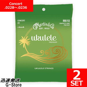 Martin EN M-610×2Zbg Graphite Grey Polygut RT[gp