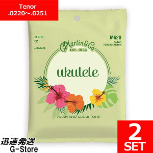 Martin EN M-620×2Zbg Fluorocarbon ei[p