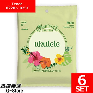 Martin EN M-620×6Zbg Fluorocarbon ei[p