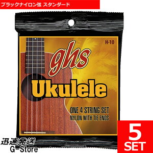 y26܂Ń|CgUPzGHS \vmEN H10×5Zbg RT[gENp ubNiC