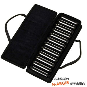 ARIA AA 10z[(10)n[jJ AH-10 SET /AH-10FL (SET) u[Xn[vZbg key :CADAD AE(D#)AEAFAF#AGAA(G#)AAAB(A#)AB