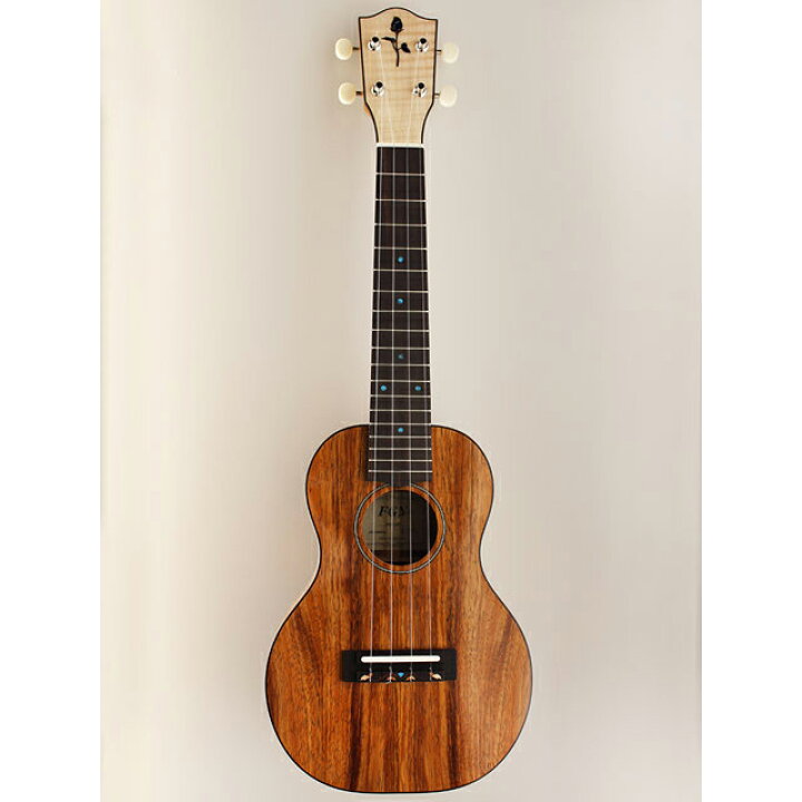 楽天市場】フジゲン コンサートウクレレ FUS-TC-02 CONCERT UKULELE  