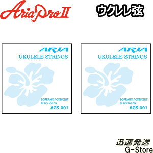 y26܂Ń|CgUPzAria EN AGS-001×2Zbg ubNiC \vm/RT[gp