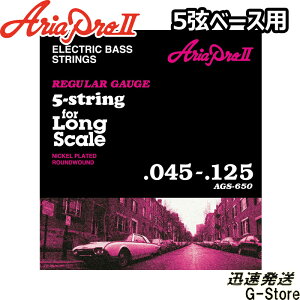 AriaProII 5x[X AGS-650×1Zbg Long Scale Bass 45-125