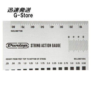 �y20������|�C���gUP�zJimDunlop DGT04 �v���� STRING ACTION GAUGE