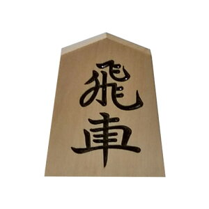 y݌ɌzVk q 1 o \ɂǂ