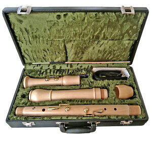 MOECK 2520(BjCv obN htp ؐ oXR[_[ bN