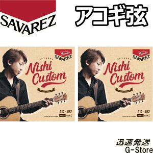 ToX ARM A130NC×2Zbg uY NishiJX^ 12-52