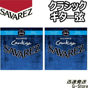 ToX NVbN 510AJ×2Zbg AAX JeB[K nCeV SAVAREZ