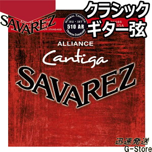 ToX NVbN 510AR×1Zbg AAX JeB[K m[}eV SAVAREZ