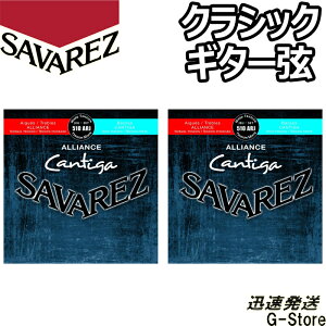 ToX NVbN 510ARJ×2Zbg AAX JeB[K ~bNXeV SAVARJEZ