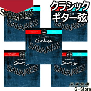 ToX NVbN 510ARJ×5Zbg AAX JeB[K ~bNXeV SAVARJEZ