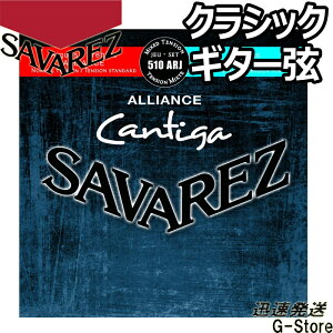 ToX NVbN 510ARJ×1Zbg AAX JeB[K ~bNXeV SAVARJEZ