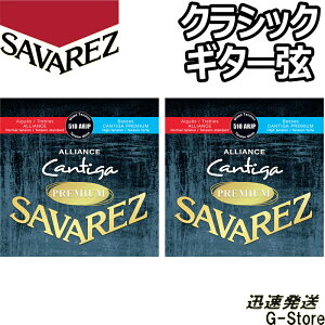 y26܂Ń|CgUPzToX NVbN 510ARJP×2Zbg AAXJeB[Kv~A ~bNXeV SAVAREZ