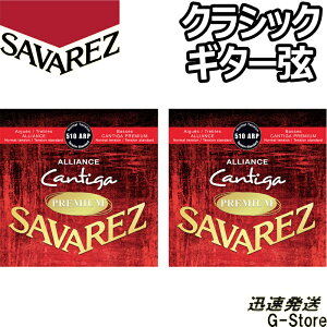 y26܂Ń|CgUPzToX NVbN 510ARP×2Zbg AAXJeB[Kv~A ~fBAeV SAVAREZ