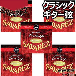 y26܂Ń|CgUPzToX NVbN 510ARP×5Zbg AAXJeB[Kv~A ~fBAeV SAVAREZ