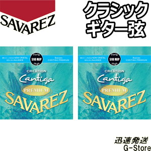 y26܂Ń|CgUPzToX NVbN 510MJP×2Zbg NG[VJeB[Kv~A nCeV SAVAREZ