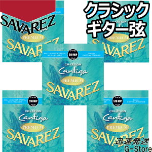 y26܂Ń|CgUPzToX NVbN 510MJP×5Zbg NG[VJeB[Kv~A nCeV SAVAREZ