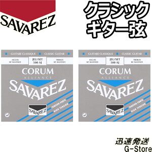 ToX NVbN 500AJ×2Zbg R AAX nCeV SAVAREZ