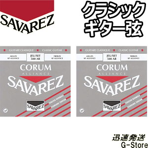 ToX NVbN 500AR×2Zbg R AAX m[}eV SAVAREZ