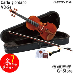 カルロジョルダーノ ビオラの人気商品・通販・価格比較 - 価格.com