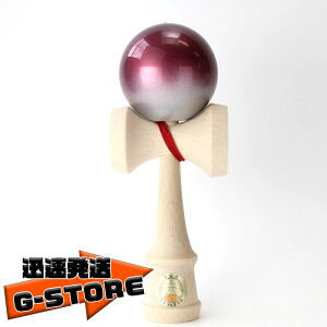 R`H[ { Zp  v~A2g[iԁj \t