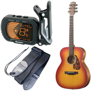 y}\Ԃ̓|Cg5{z`[i[Xgbvt MORRIS AR[XeBbNM^[ F-021 CS `F[To[Xg pP[Xt [X