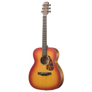 MORRIS AR[XeBbNM^[ F-021 CS `F[To[Xg pP[Xt [X