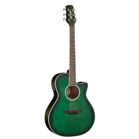 MORRIS ピックアップ付 アコースティックギター R-011 FBU ファインブルー 専用ケース付 モーリス