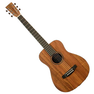 X SERIES [LXK2 Little Martin]