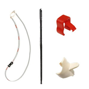 y|Cg10{zAULOS \vmR[_[pw 302B 303Bp AC{[{|_{lbNXgbv NS-S{Sordinella